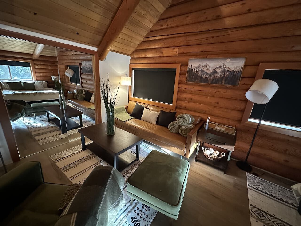 TV, fireplace, books