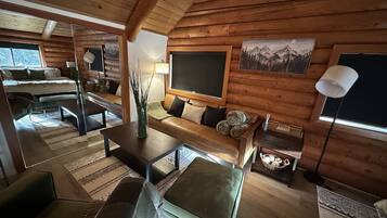 TV, fireplace, books