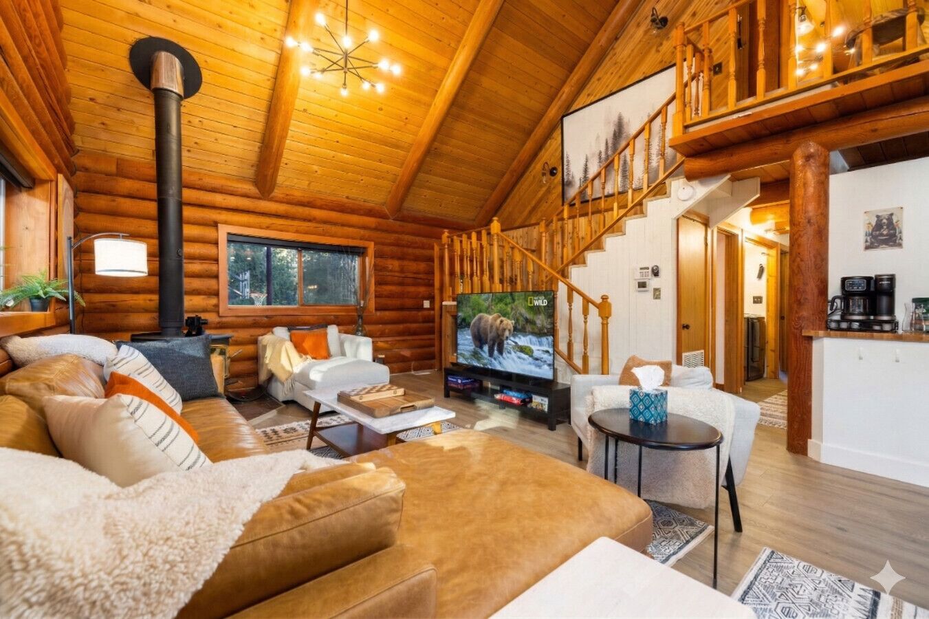 TV, fireplace, books