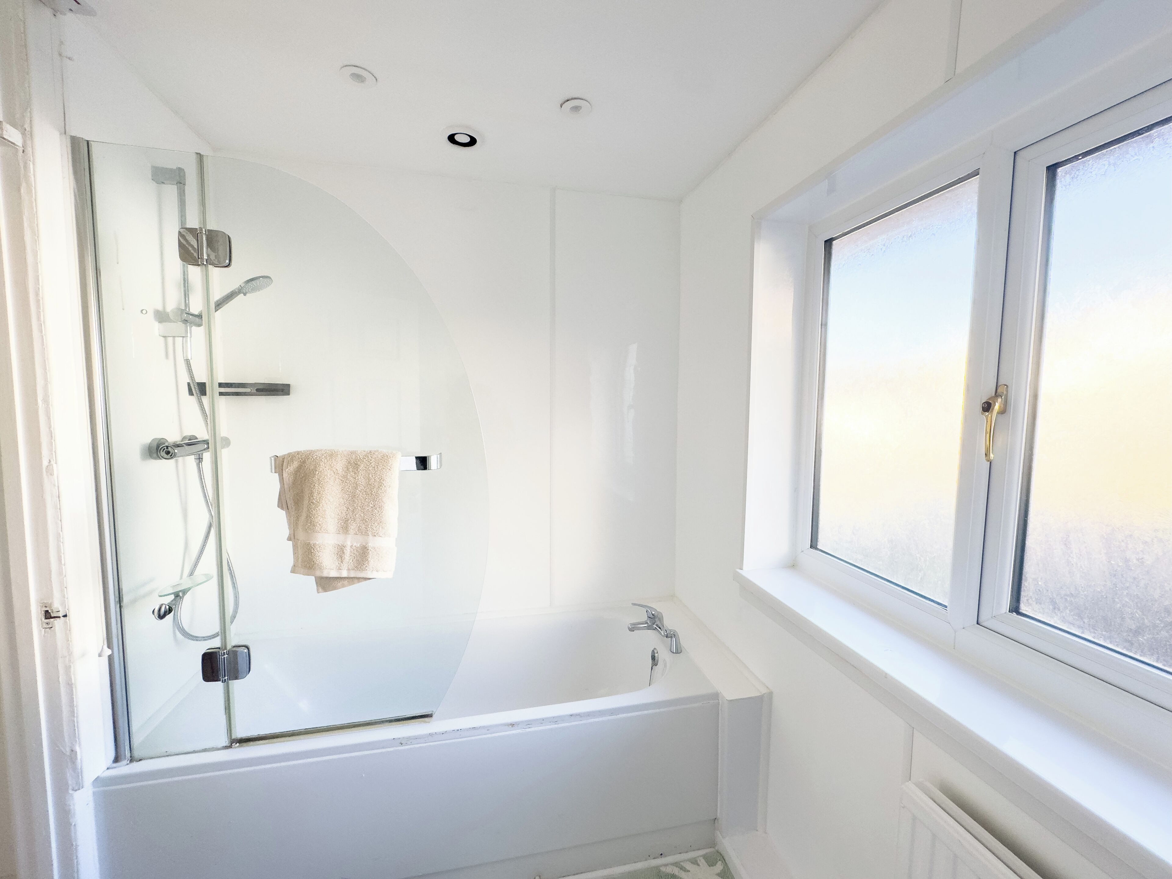 Hair dryer, towels, toilet paper