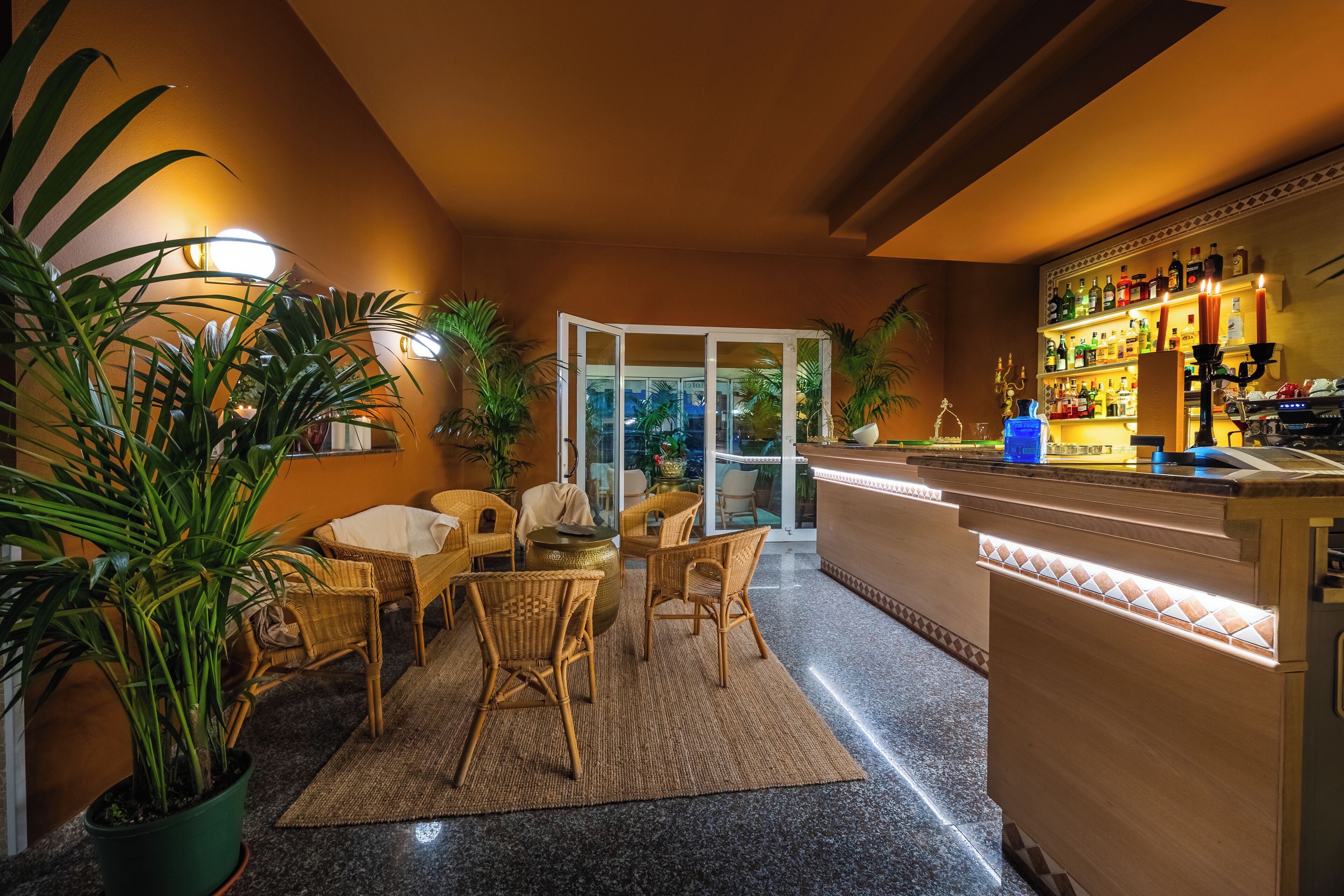 Bar (en la propiedad)