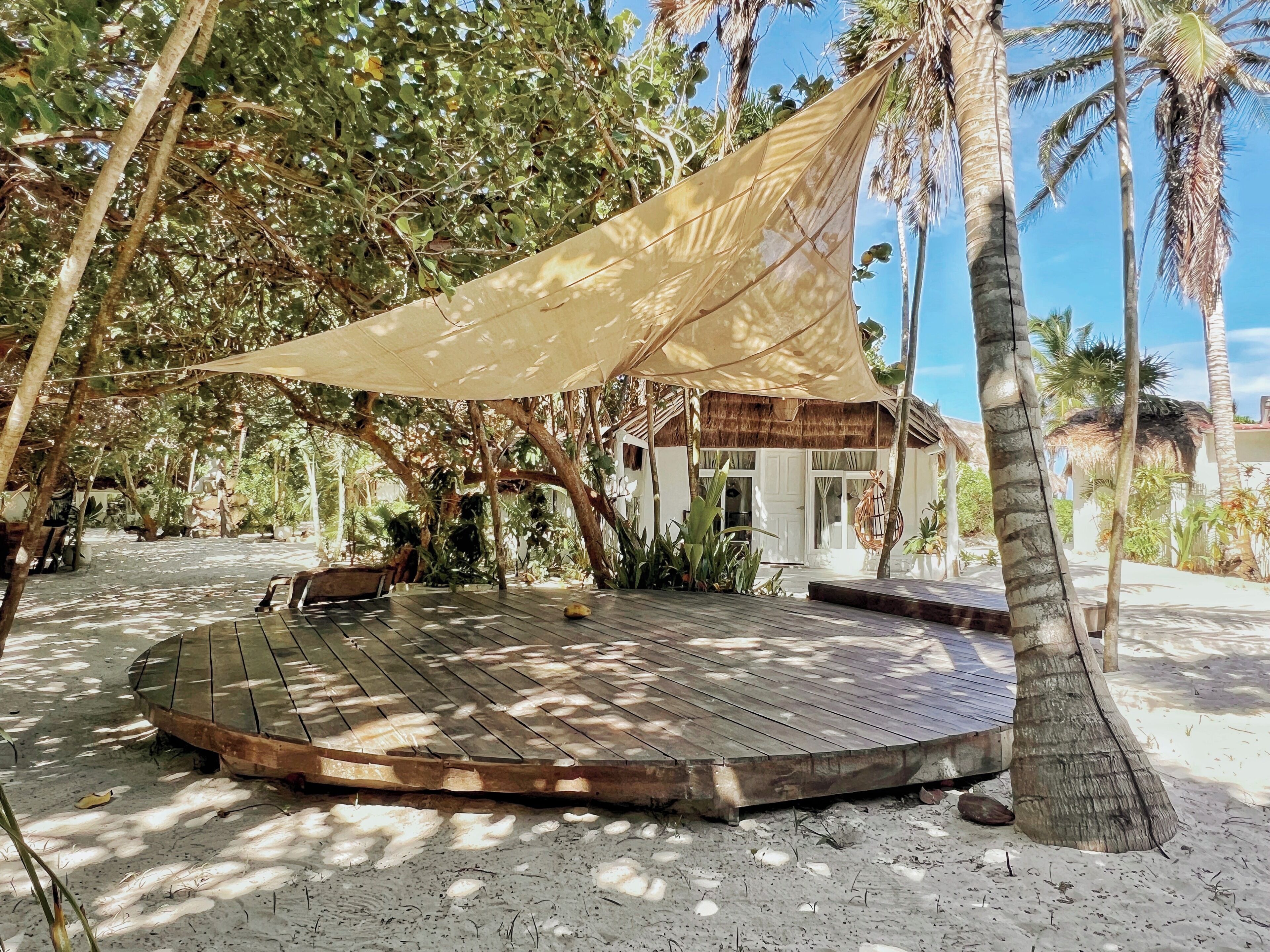 A wooden deck with a canopy, surrounded by palm trees and tropical vegetation.