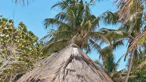 A thatched-roof structure with a porch, surrounded by palm trees and vegetation. - Hotel Qamar Lux (Tulum)