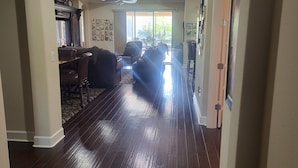 A spacious living room with a dark hardwood floor, a ceiling fan, and a large window providing natural light. - Charming 3-bedroom pool house in Sarasota, 5-minutes from Siesta Key beach (Sarasota)