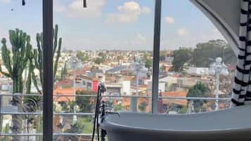 Safari | Vista a la ciudad