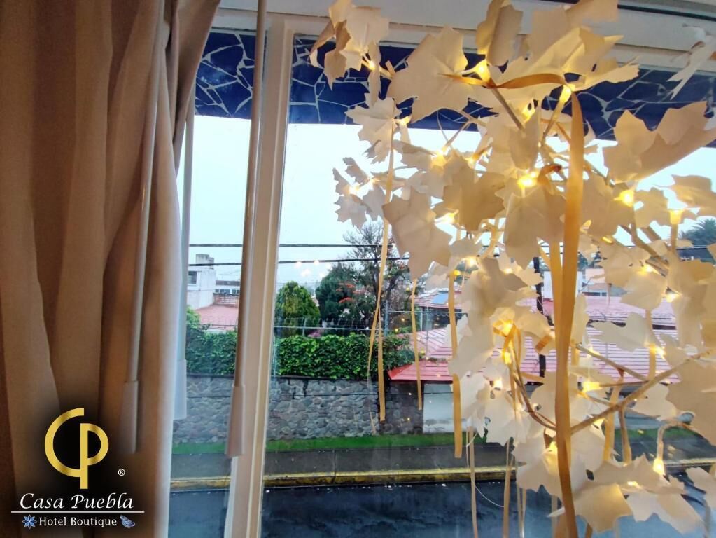 Atlixco | Vista desde la habitación