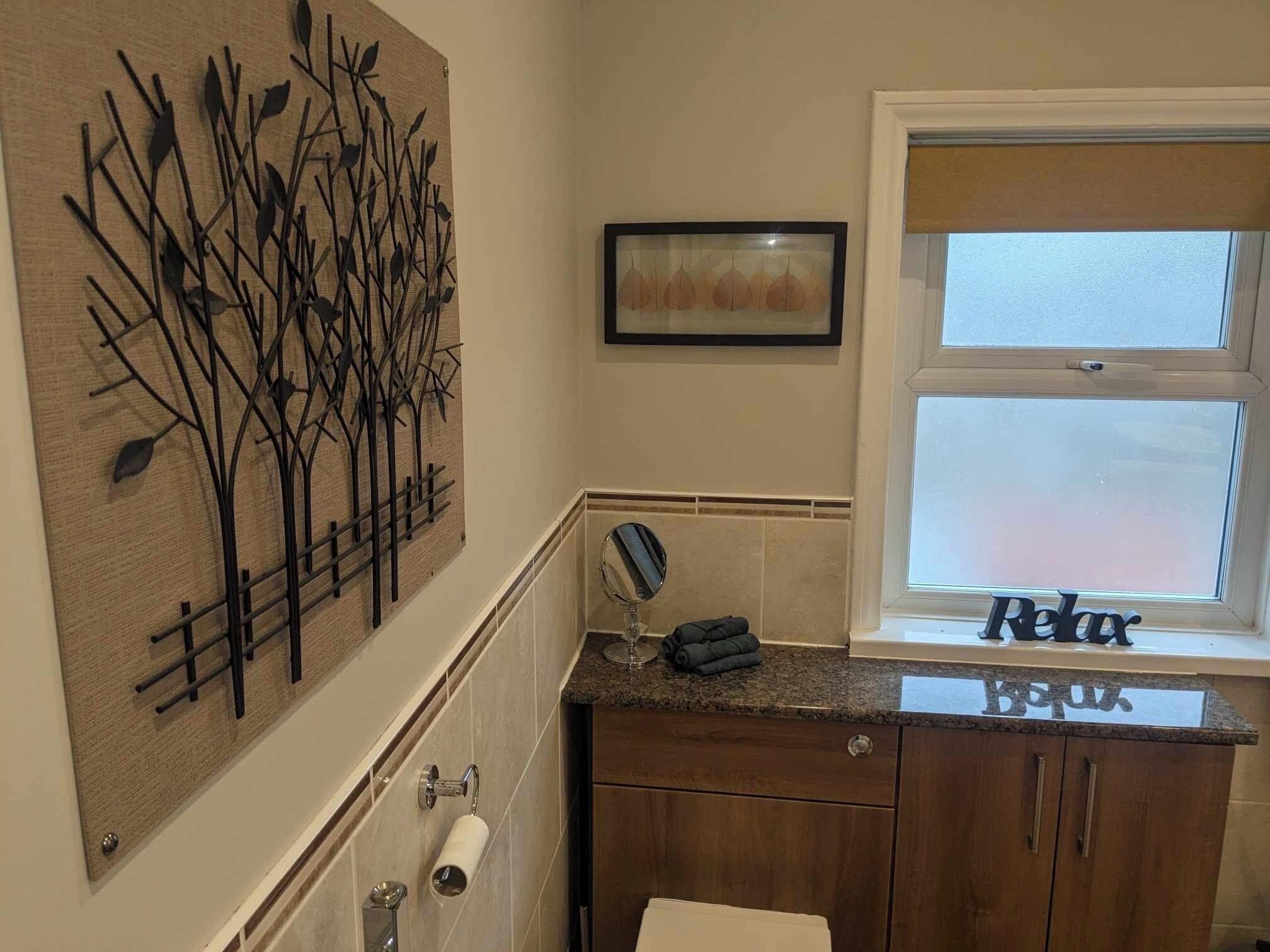 Hair dryer, towels, soap, toilet paper