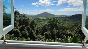 A view from a window overlooking a lush landscape with a mountain in the distance. - Piscina Vista Guest House w/ Solar & Pool (Ceiba)
