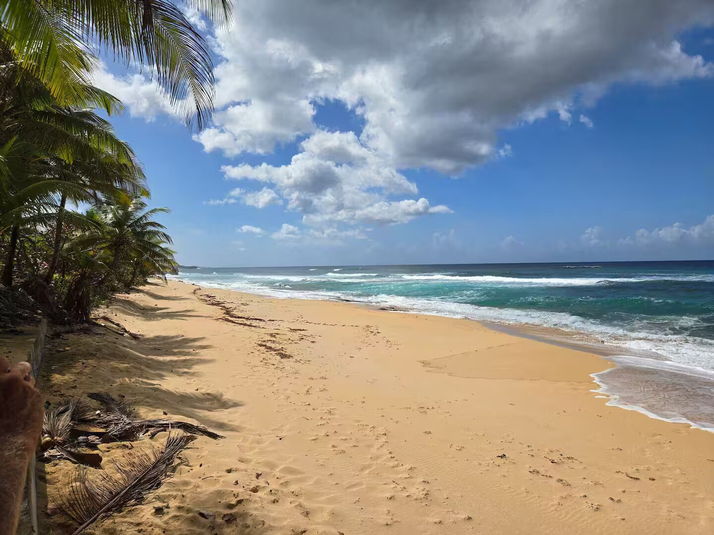 Sun loungers, beach towels