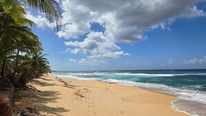 A sandy beach with palm trees and ocean waves under a partly cloudy sky. - Piscina Vista Guest House w/ Solar & Pool (Ceiba)