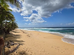 Sun loungers, beach towels