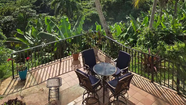 A terrace with a table and chairs, surrounded by lush greenery and palm trees, overlooking a hilly landscape. - Piscina Vista Guest House w/ Solar & Pool (Ceiba)