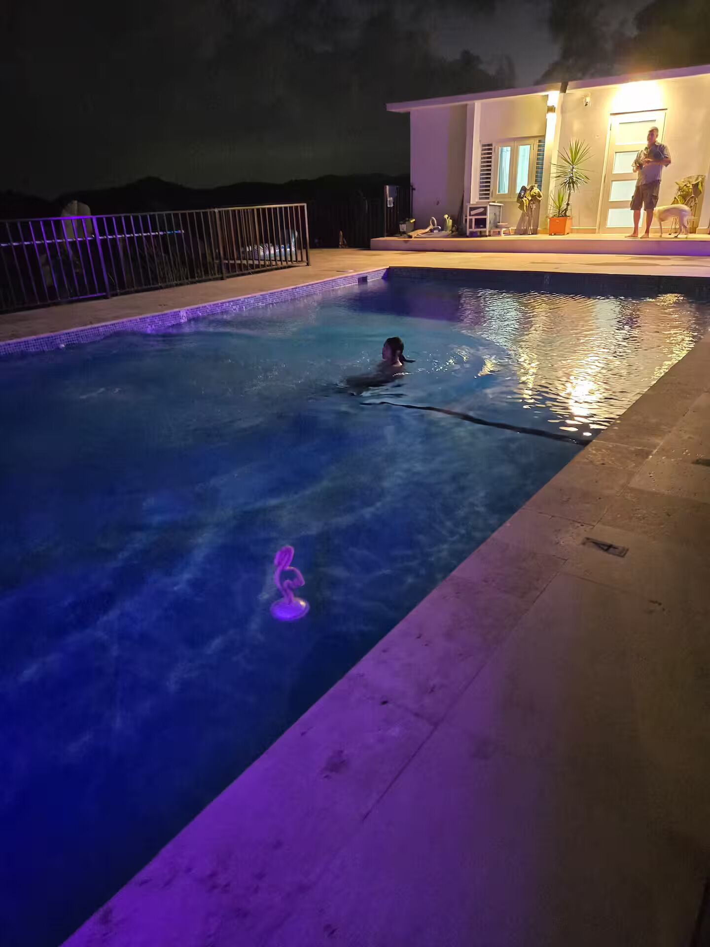 Ein Nacht-Schwimmbad mit einer Person, die schwimmt, und einem Delfin-förmigen Schwimmspielzeug.