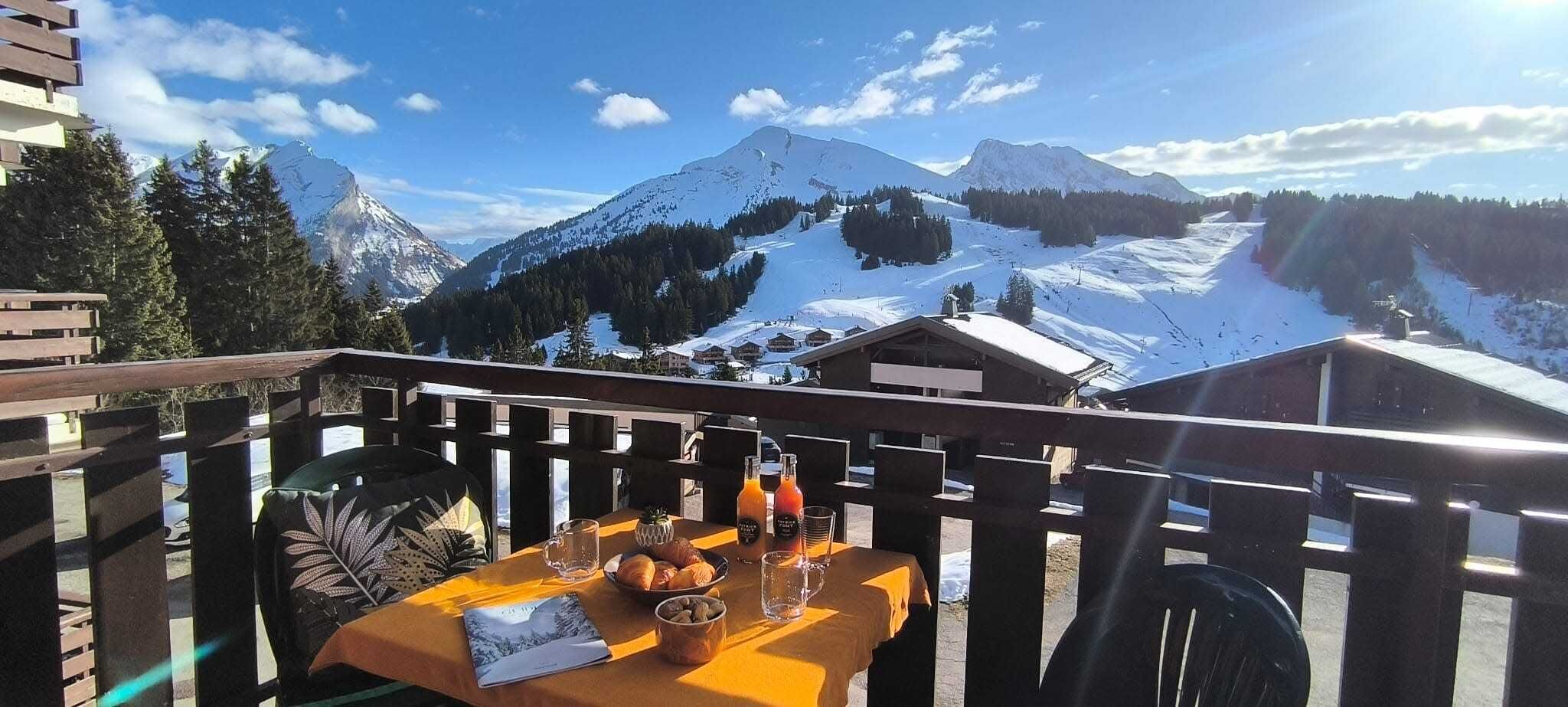 view from the balcony - at the back the MONT BLANC