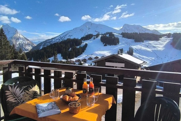 view from the balcony - at the back the MONT BLANC