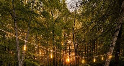 Peaceful, Curated Lakes Region Hideaway
