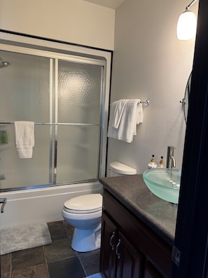 Hair dryer, towels, soap, toilet paper