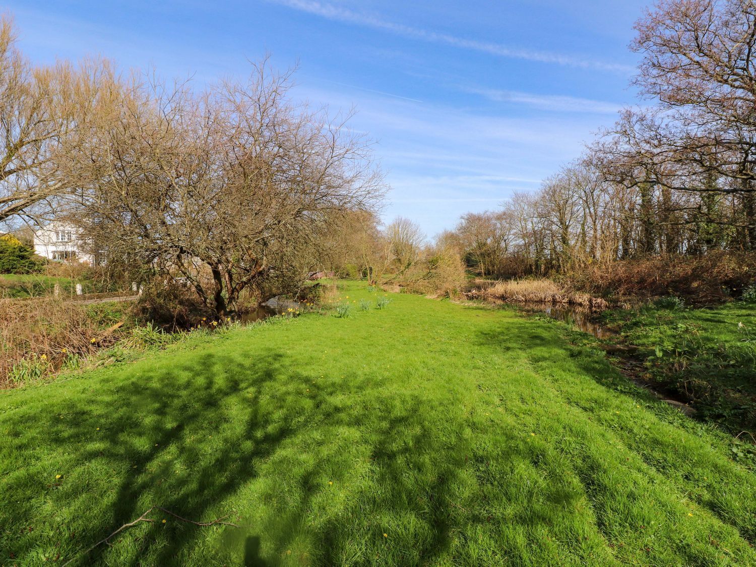 A grassy field with trees and a clear sky.