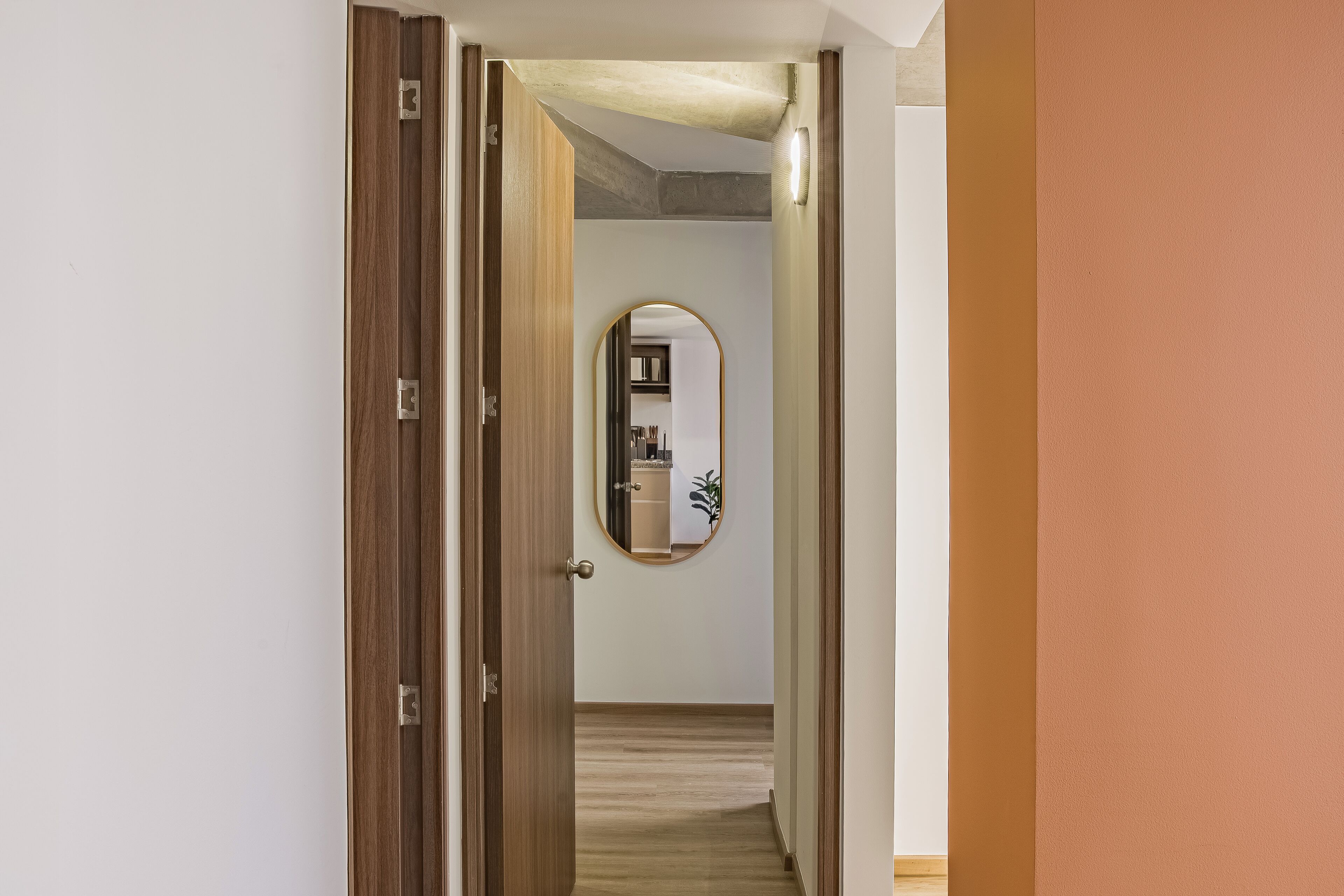 Ein Flur mit einer Holztür, die zu einem Zimmer mit einem Spiegel und einer Pflanze führt.