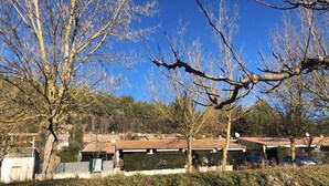 Un quartiere residenziale con case, alberi e un cielo azzurro intenso.