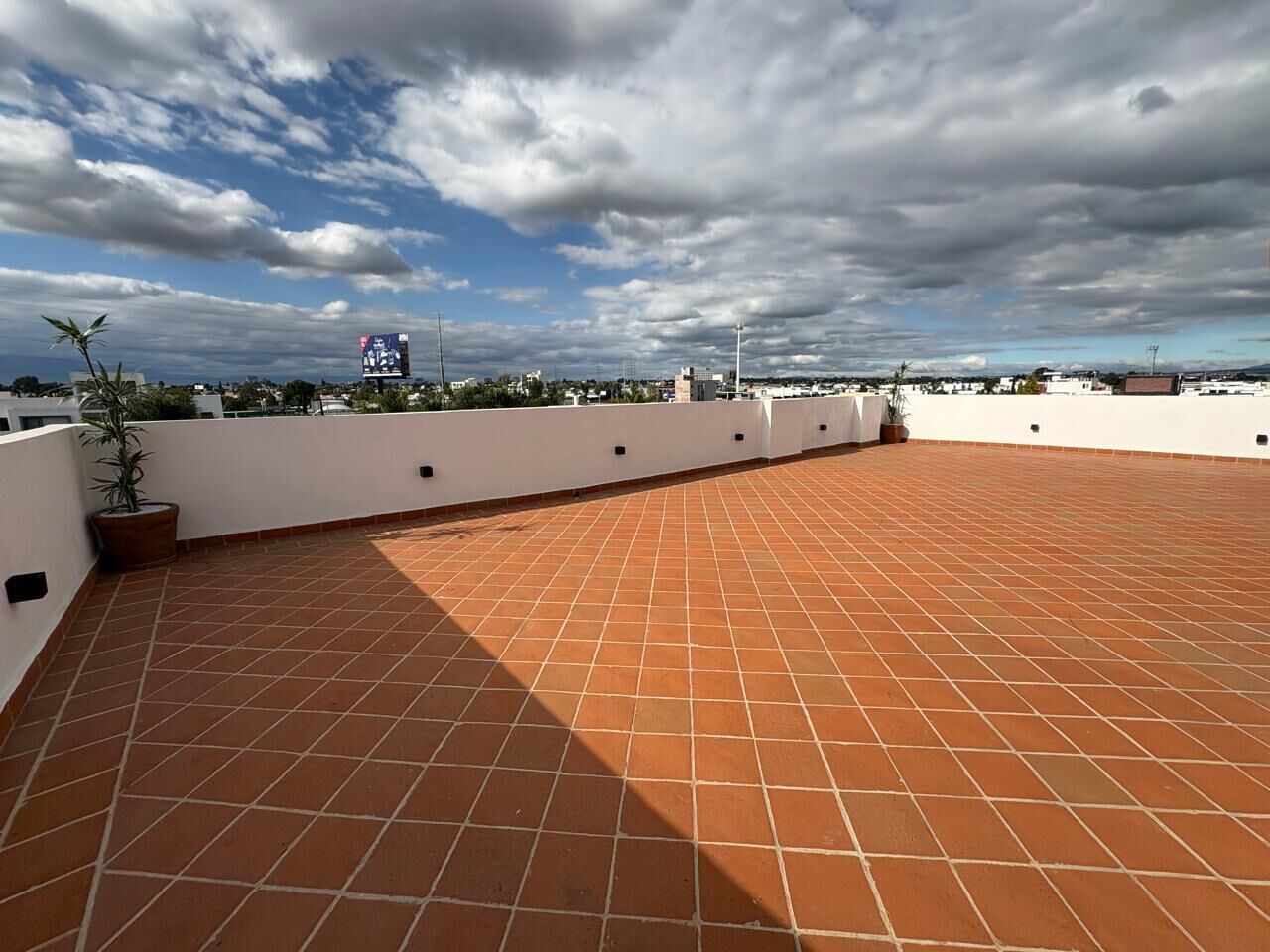 A rooftop terrace with terracotta tiles, white walls, and a potted plant.