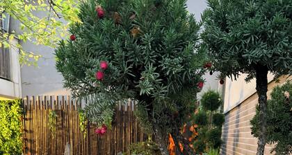 Paris - Cosy luxe 30mÂČ avec jardin Japonais - Proche mĂ©tro