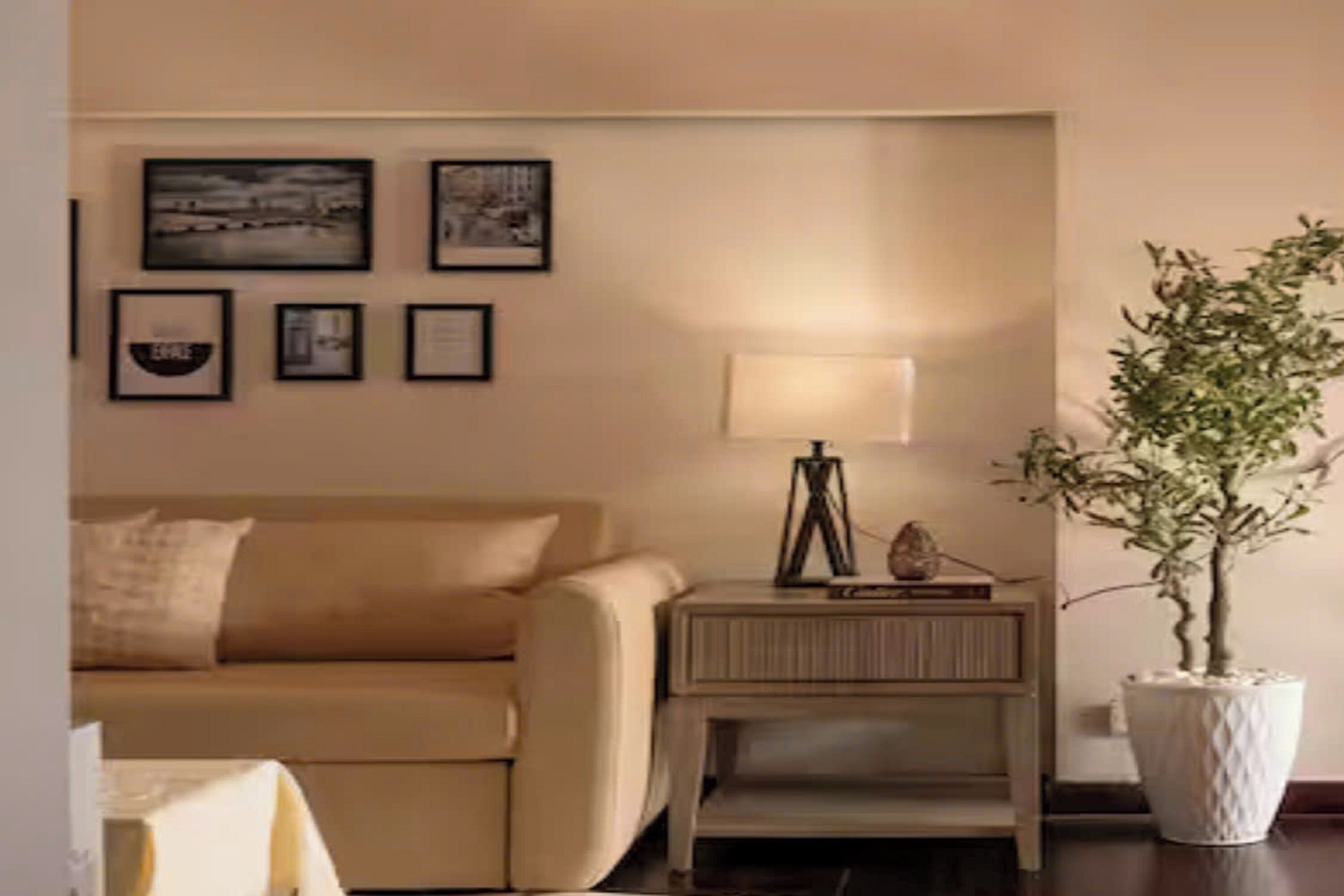 Egyptian cotton sheets, premium bedding, down comforters