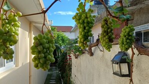 Property grounds - Harbour View Inn, A Piece Of
Paradise (Harbour View)