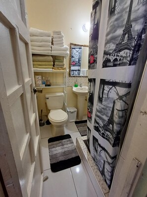 Shower, towels, soap, toilet paper