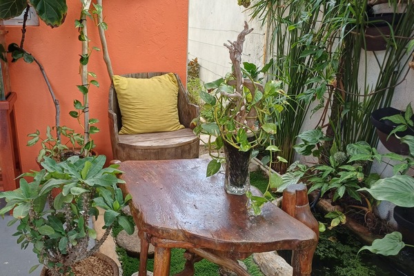 Overnattingsstedets uteområder