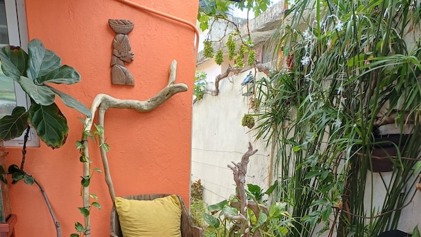 Property grounds - Harbour View Inn, A Piece Of
Paradise (Harbour View)