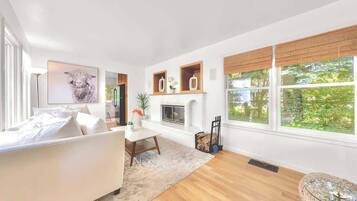 Télévision, cheminée, jeux vidéo, espaces bureaux