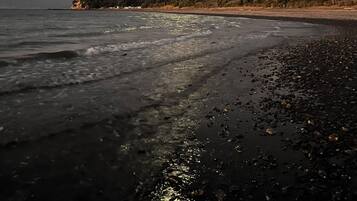 Serviettes de plage