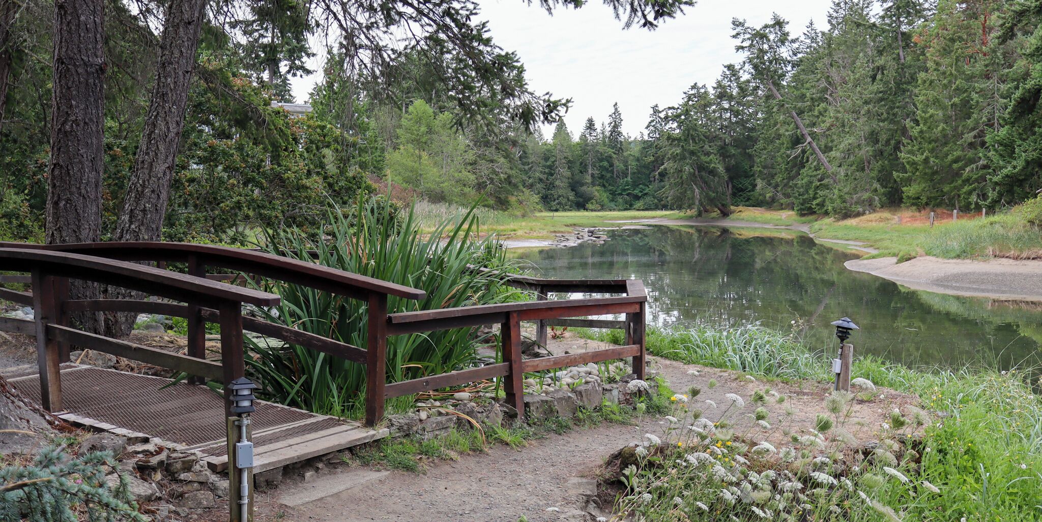 A wooden bridge over a pond with a wooden deck and a lamp post.