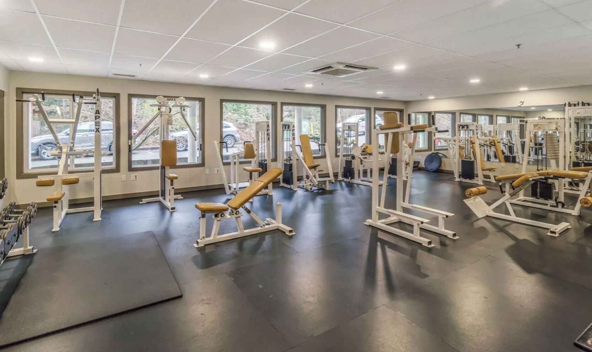 Ein Fitnessstudio mit unterschiedlichen Trainingsgeräten, großen Fenstern und einem klaren, modernen Design.