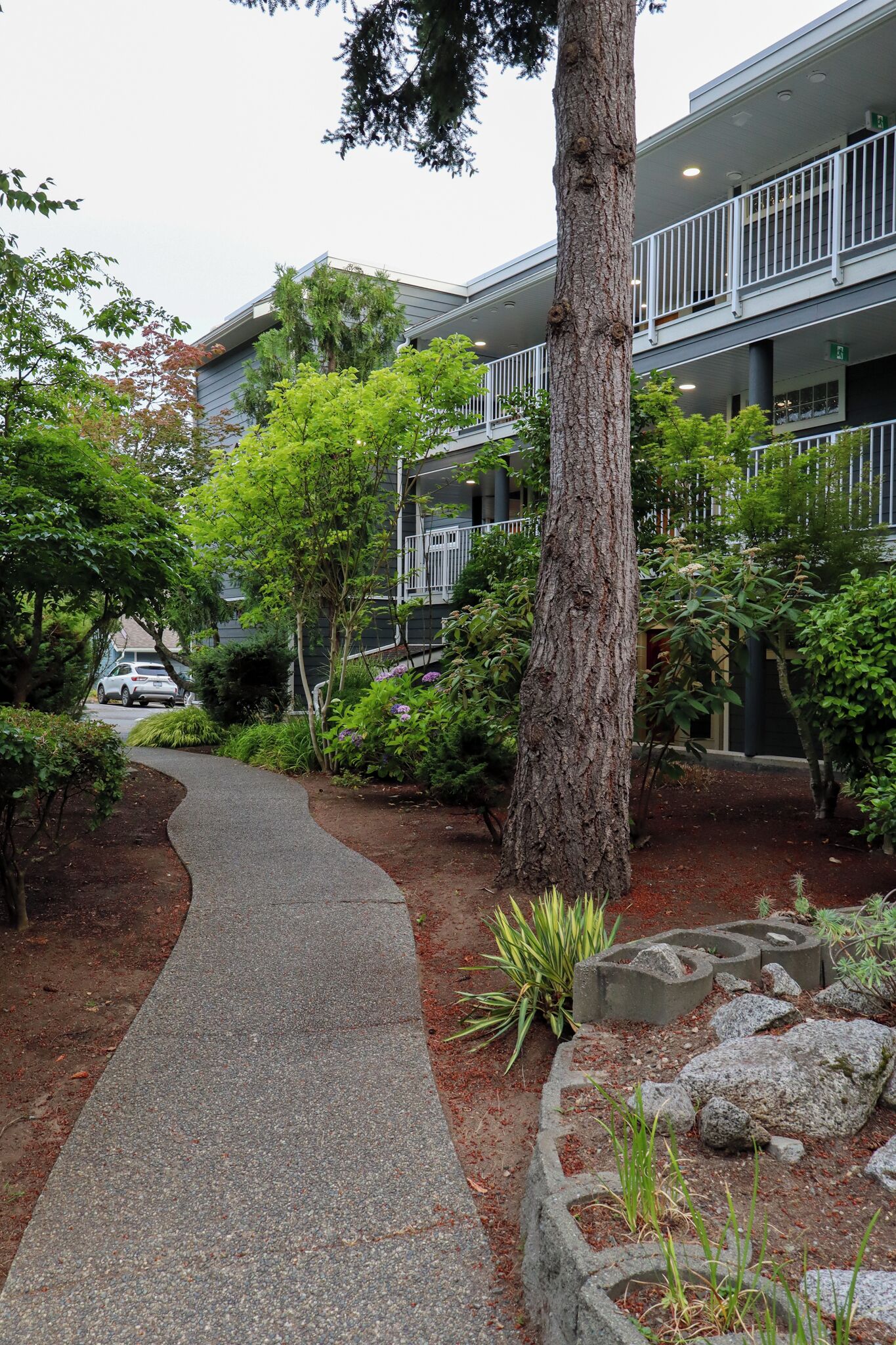 Uma trilha que leva a um edifício com estrutura de vários andares, cercado por vegetação e árvores.