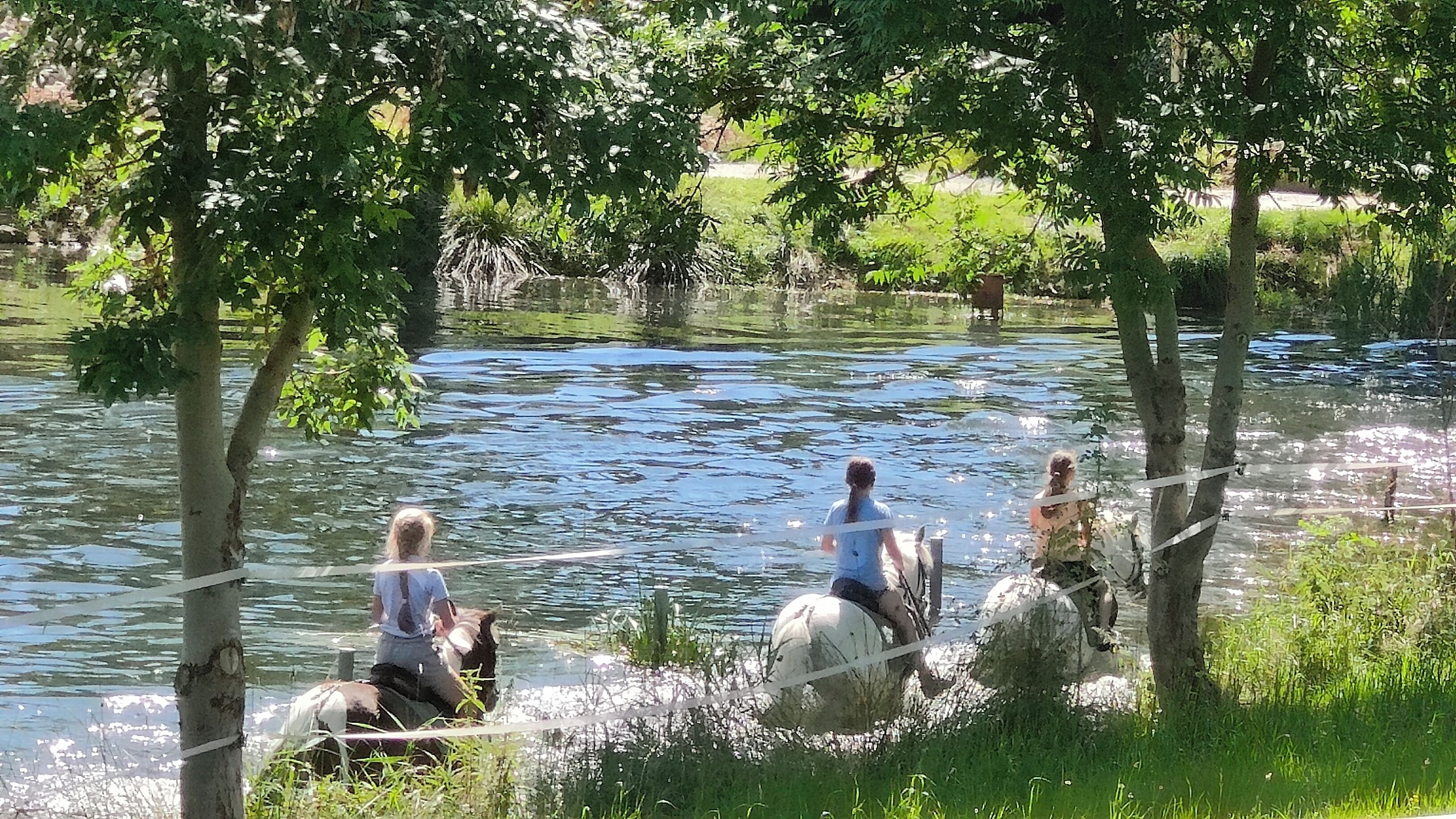 Une rivière où des personnes sont assises sur des rochers, entourées d’arbres et de verdure.