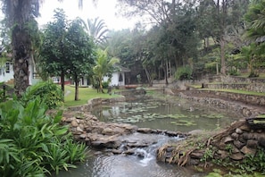 Property grounds - The Stove House Hang Dong Chiang Mai (Hang Dong)