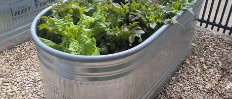 Overnatningsstedets område