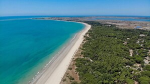 Luftaufnahme einer Küstenregion mit einem weiten Sandstrand und dichter, grüner Vegetation.
