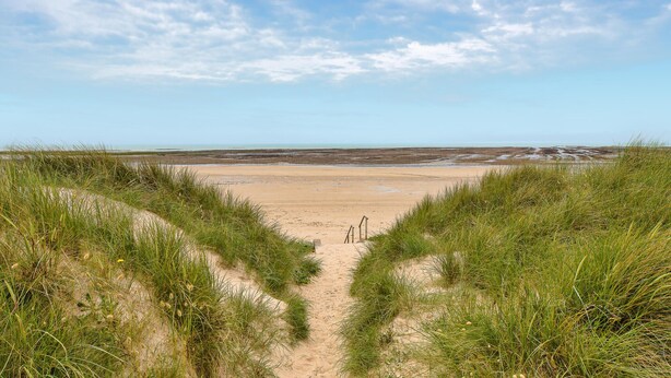 Ein sandiger Strand mit blauem Himmel und grasbewachsenen Dünen.