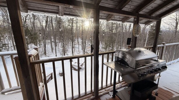 Een overdekt buitengebied met een barbecue, een houten terras en een besneeuwd bos op de achtergrond.