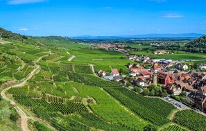 Aerial view - Bel appartement reposant (Rambervillers)