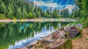 A serene lake surrounded by dense forest, calm water reflecting the trees, and a rocky shoreline. - Bel appartement reposant (Rambervillers)