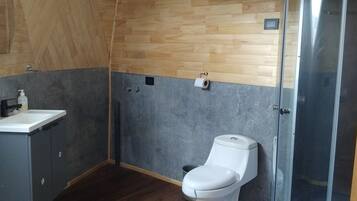 Shower, hair dryer, towels, toilet paper