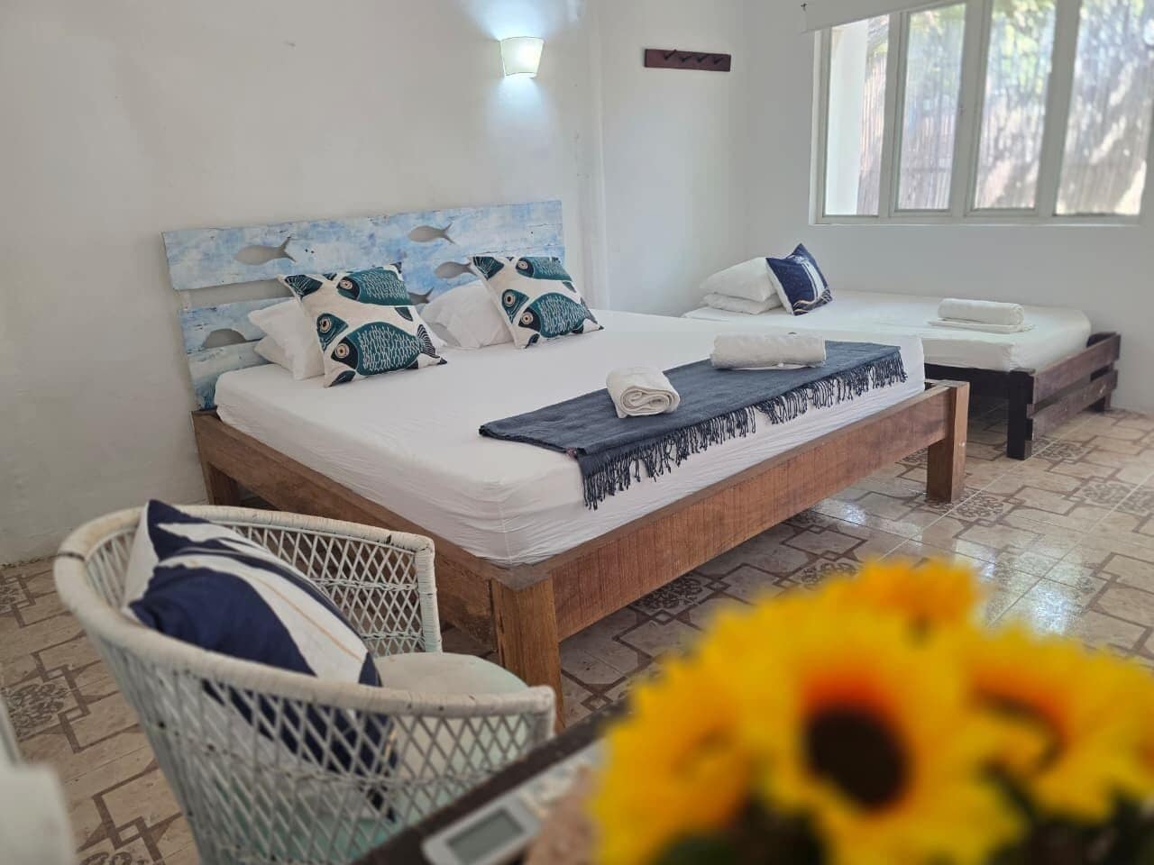 واي فاي مجانًا