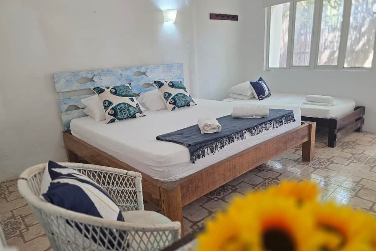 واي فاي مجانًا