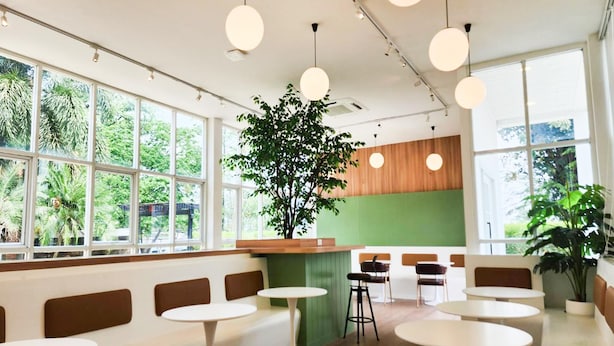 Ein modernes Café mit großen Fenstern, runden Tischen und einer zentral platzierten Pflanze.