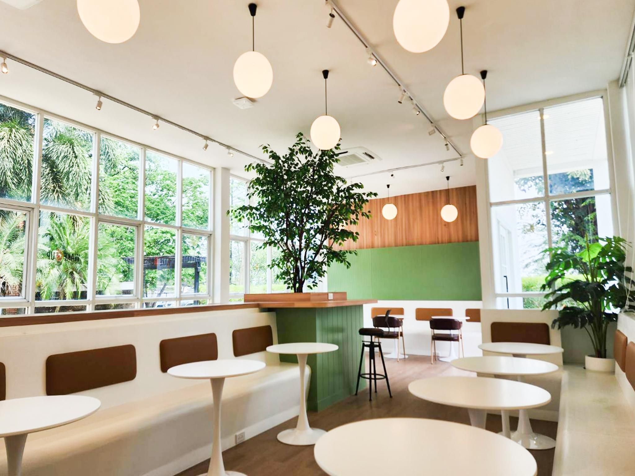 Een modern café met grote ramen, ronde tafels en een plant in het midden.