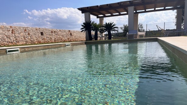 A clear pool with a stone wall and palm trees in the background. - Dimora San Michele - Exclusive Villa among Trulli, with Private Pool (Puglia)